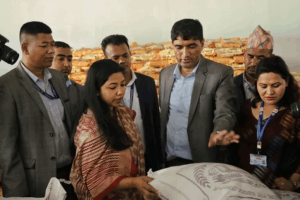 जेनजी आन्दोलनका कारण एक हप्ता पर सरेको बजार अनुमगन आगामी सातादेखि सुरु गर्ने तयारी