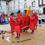 बडा दशैंको सातौं दिन आज देशभर घरघरमा फूलपाती भित्र्याइँदै