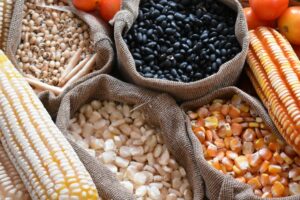 दसैँ अवधिमा एक करोड बढीको खाद्यान्न बिक्री